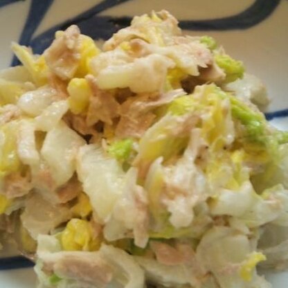 白菜サラダ、新しいですね！おいしかったです。ごちそうさま～o(^-^)o